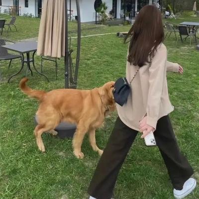四年一生